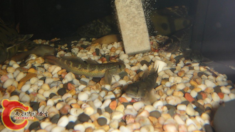 DSC07838_缩小大小.JPG