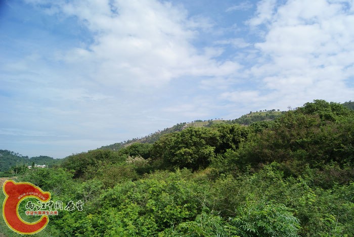 04.jpg