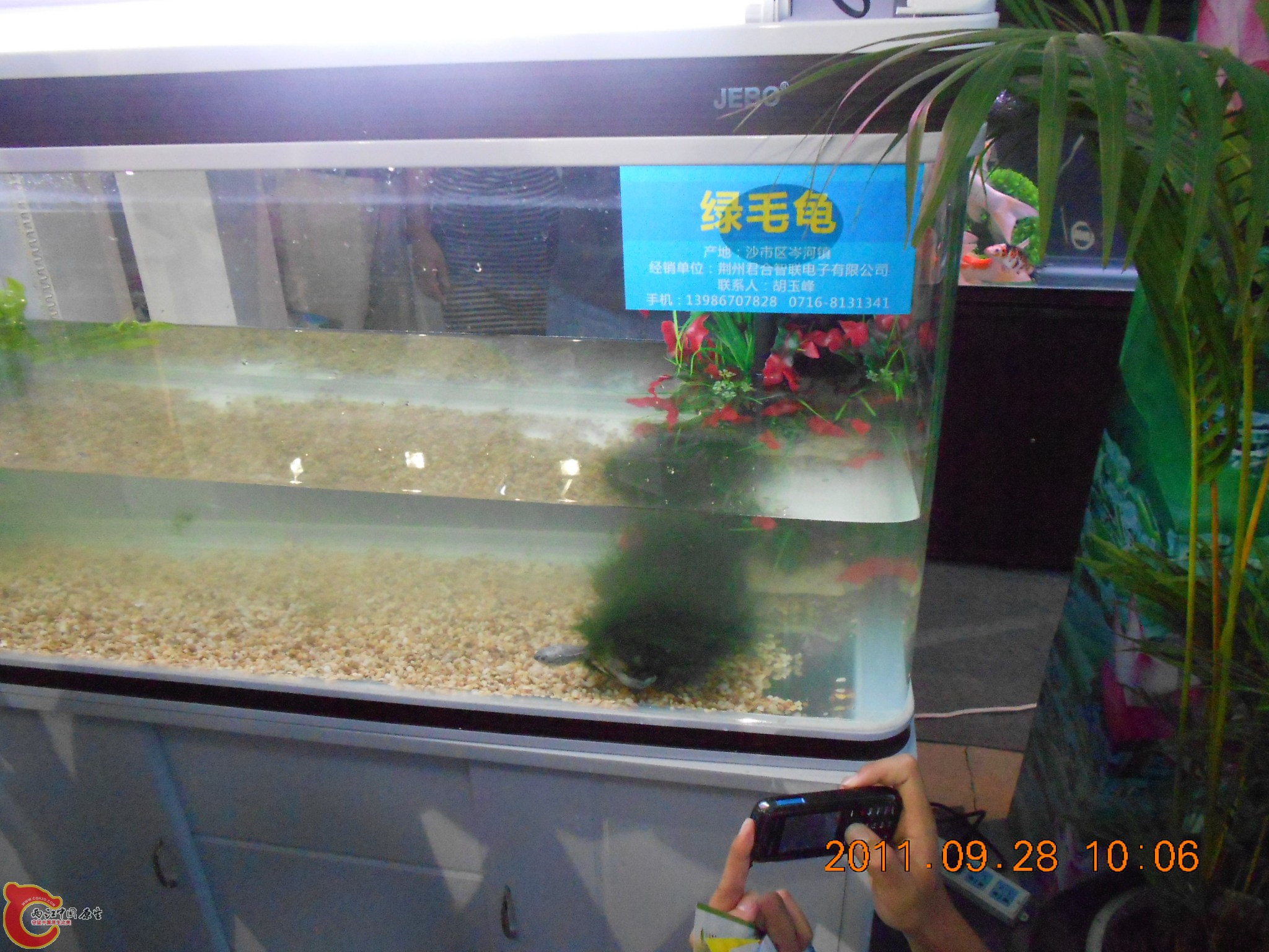 DSCN1795.JPG