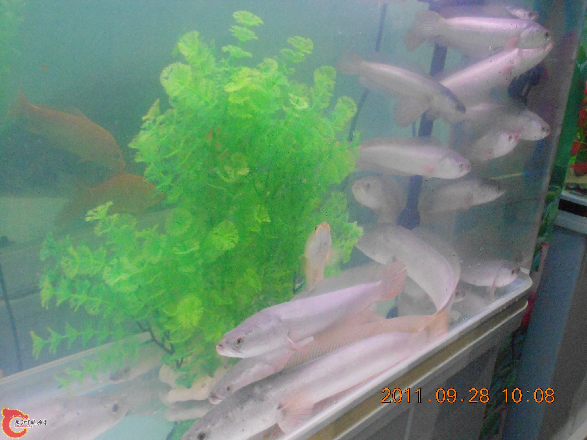 DSCN1804.JPG