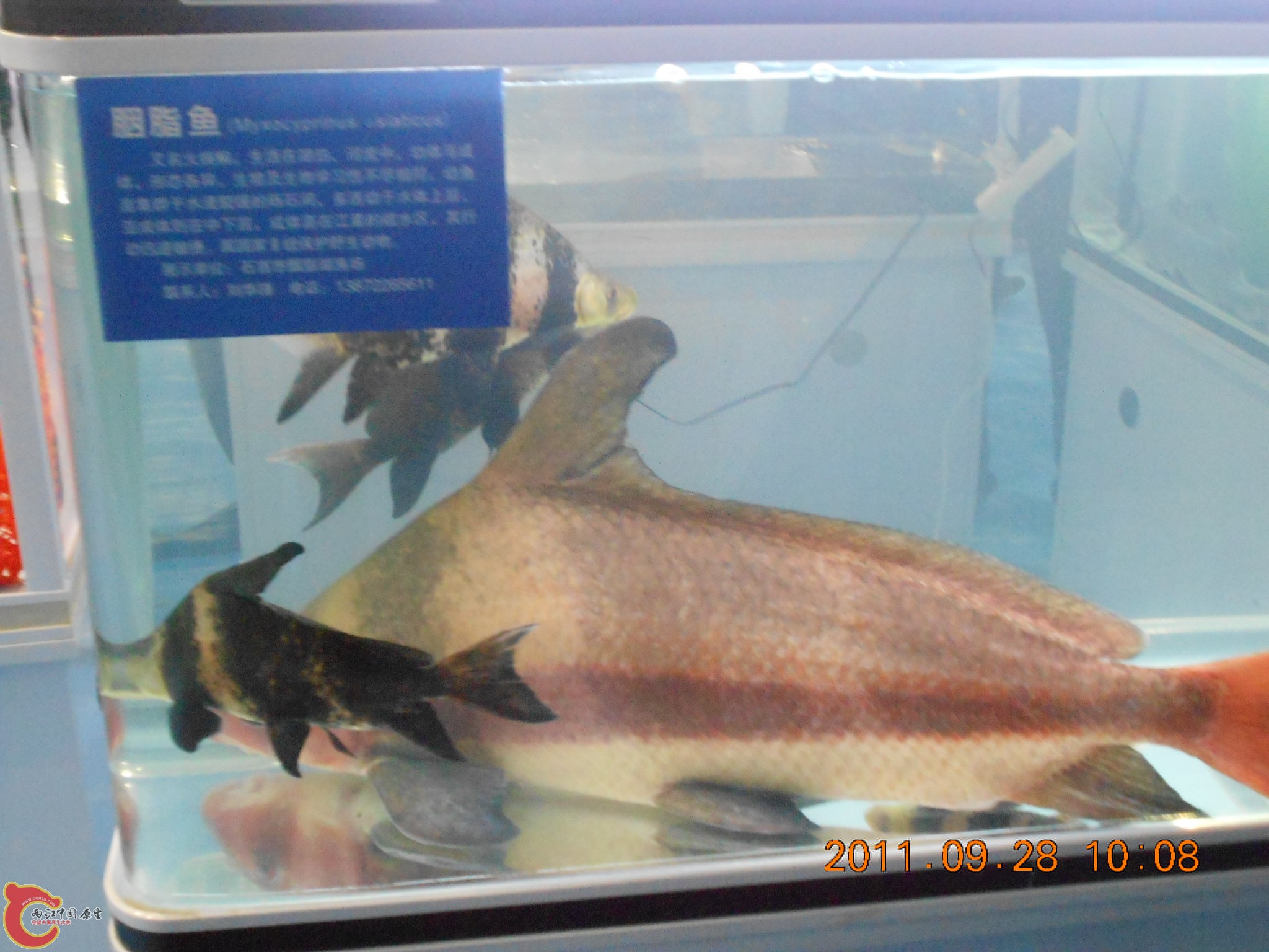 DSCN1806.JPG