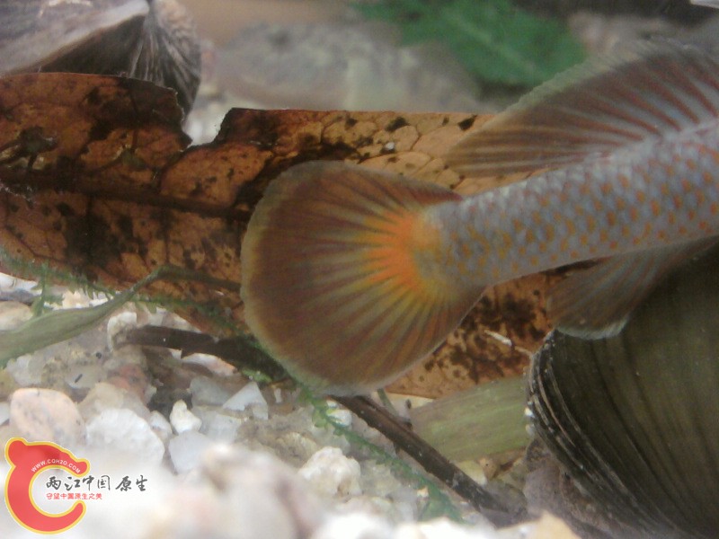照片-0221.jpg