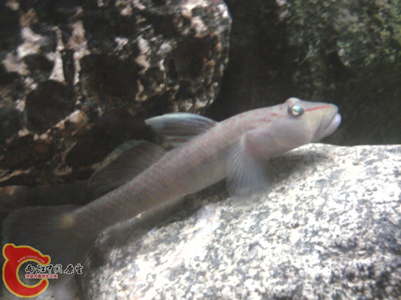 照片-0024.jpg