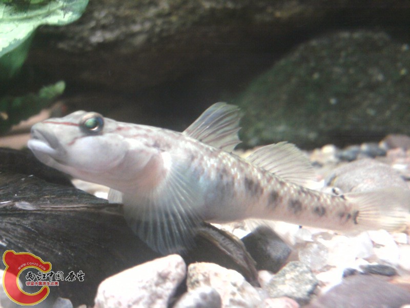 照片-0026.jpg