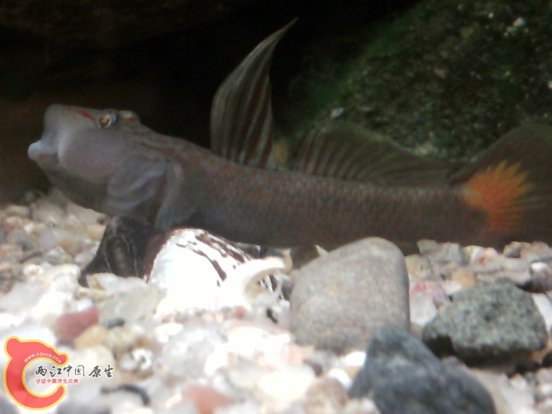 照片-0036.jpg