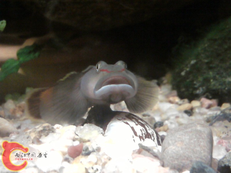 照片-0054.jpg