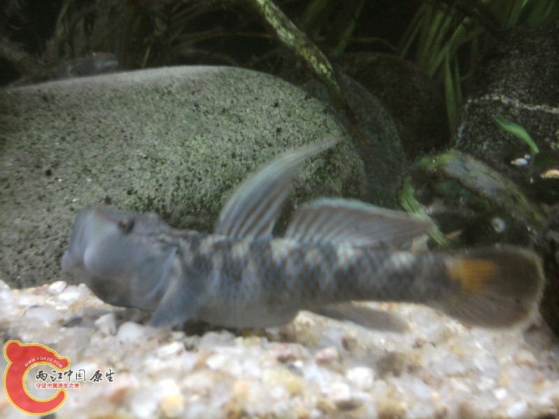照片-0092.jpg