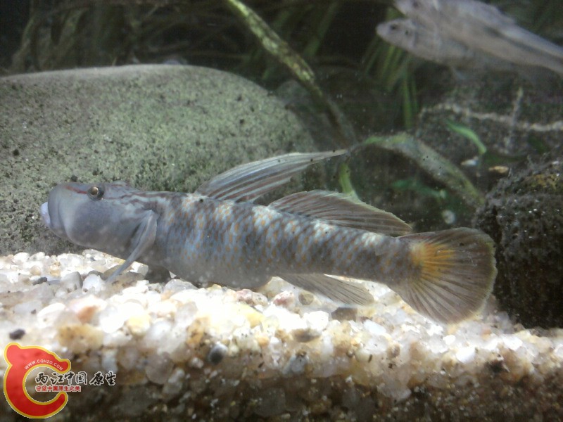 照片-0095.jpg