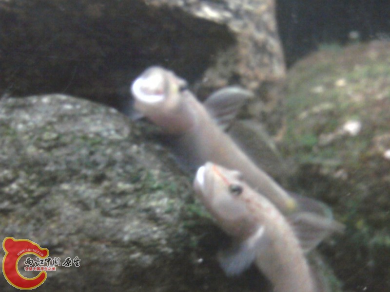 照片-0113.jpg