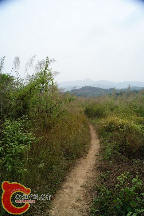 02.jpg