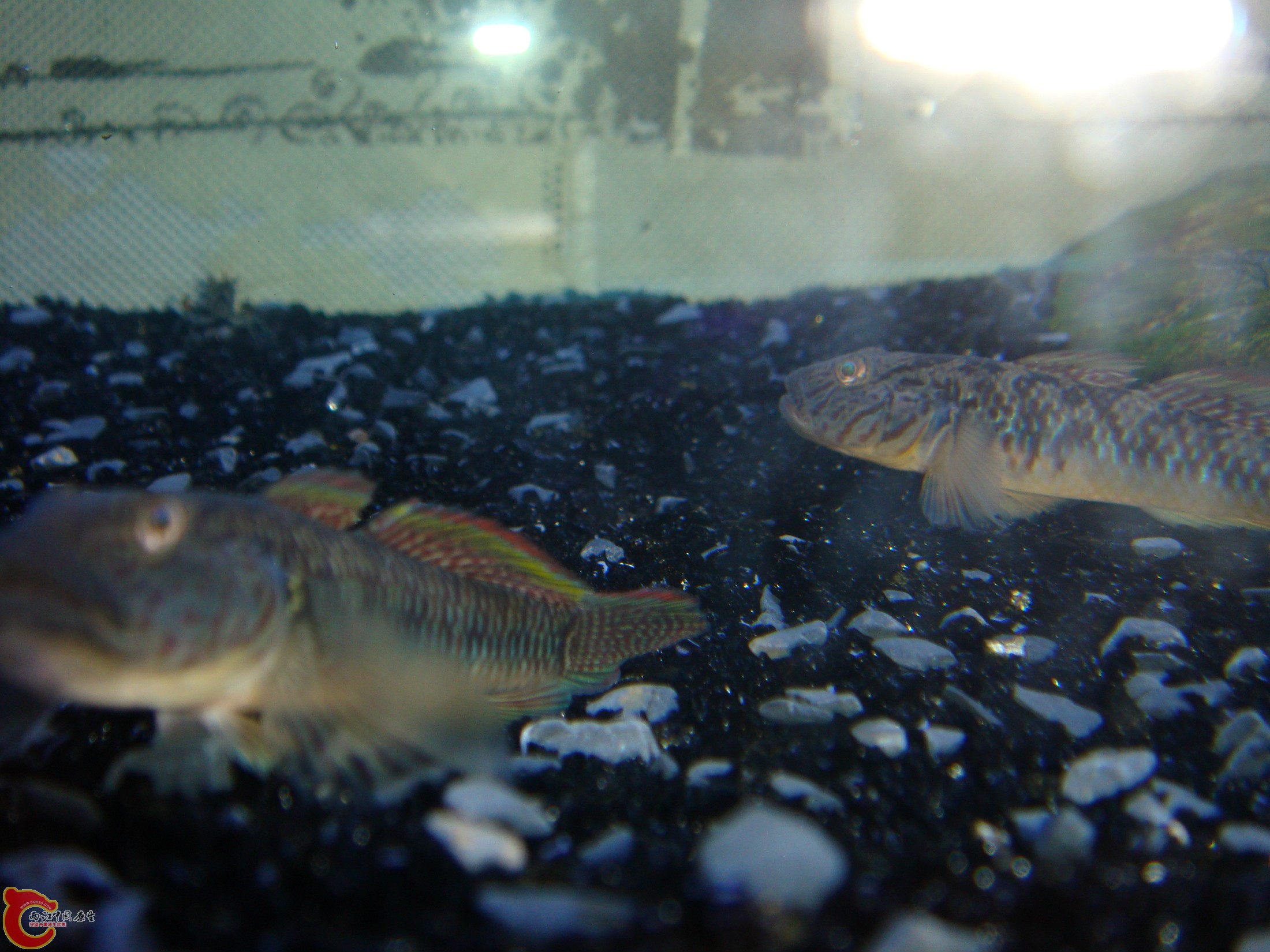 DSC03173.JPG