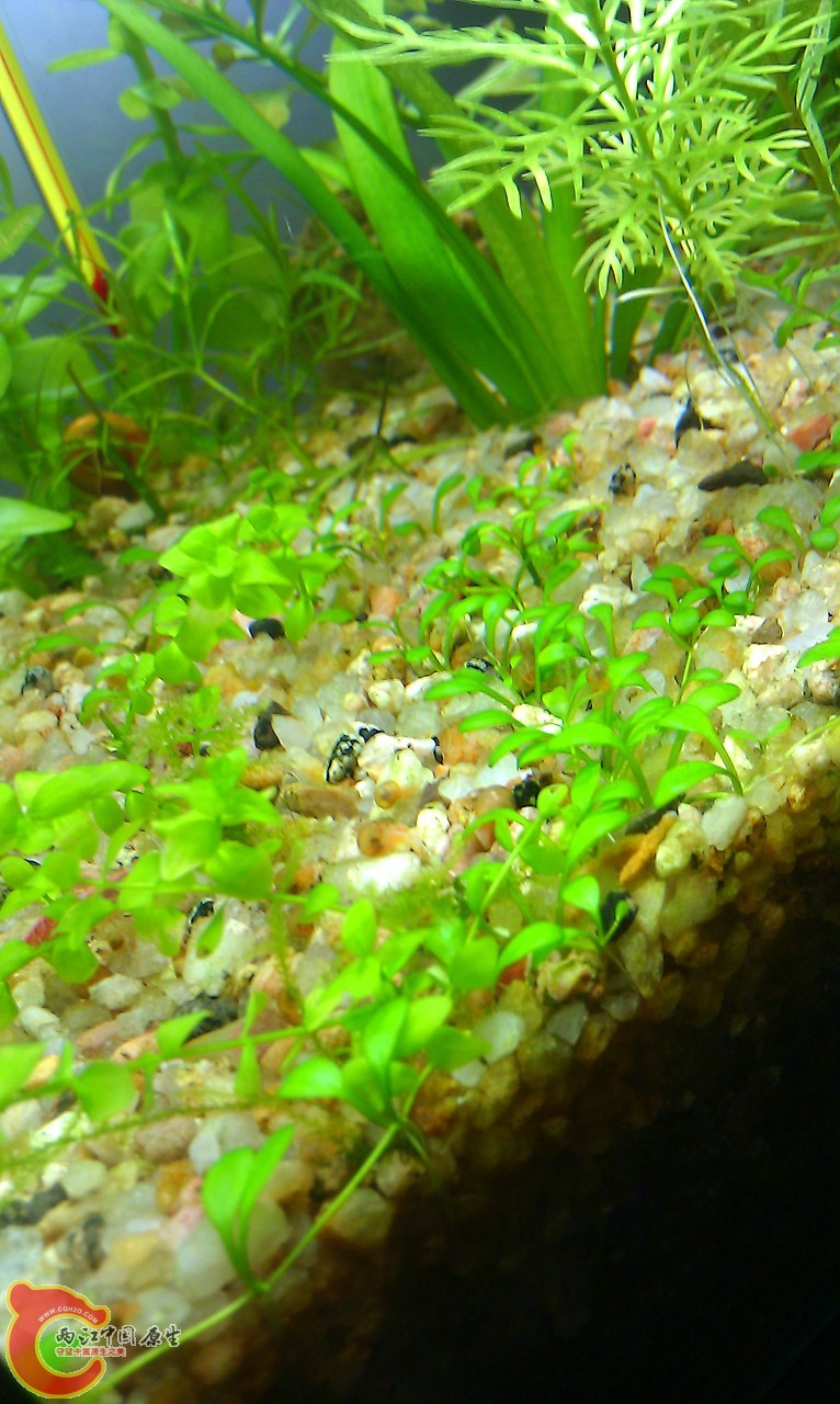 IMAG0646.jpg
