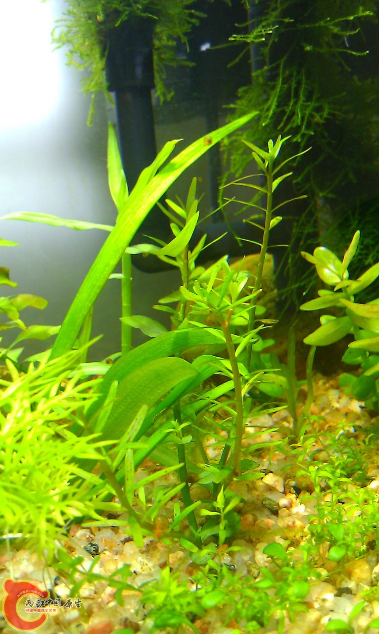 IMAG0651.jpg