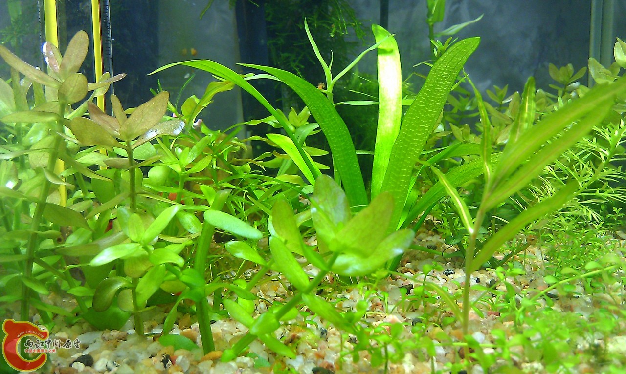 IMAG0652.jpg