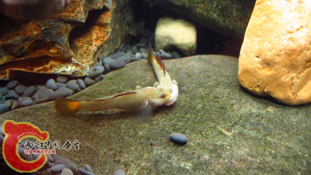 IMG_1522.JPG