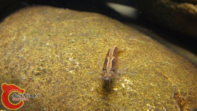 DSC02388 (800x451).jpg