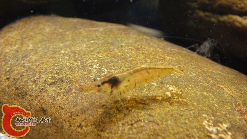 DSC02463 (800x451).jpg