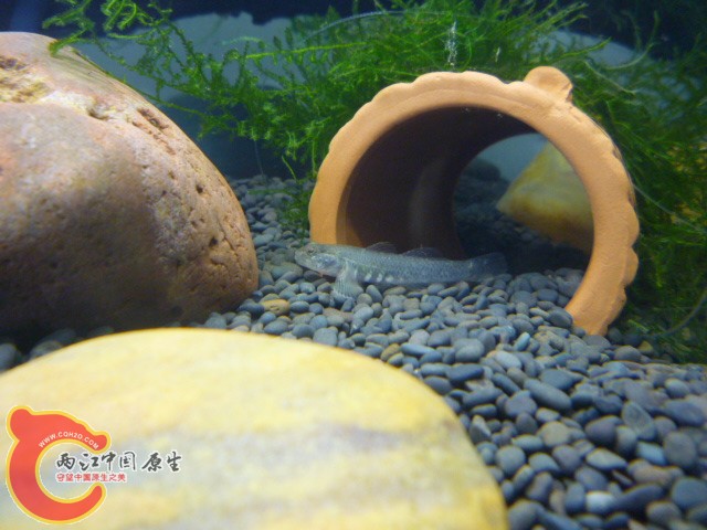 P1030728.JPG