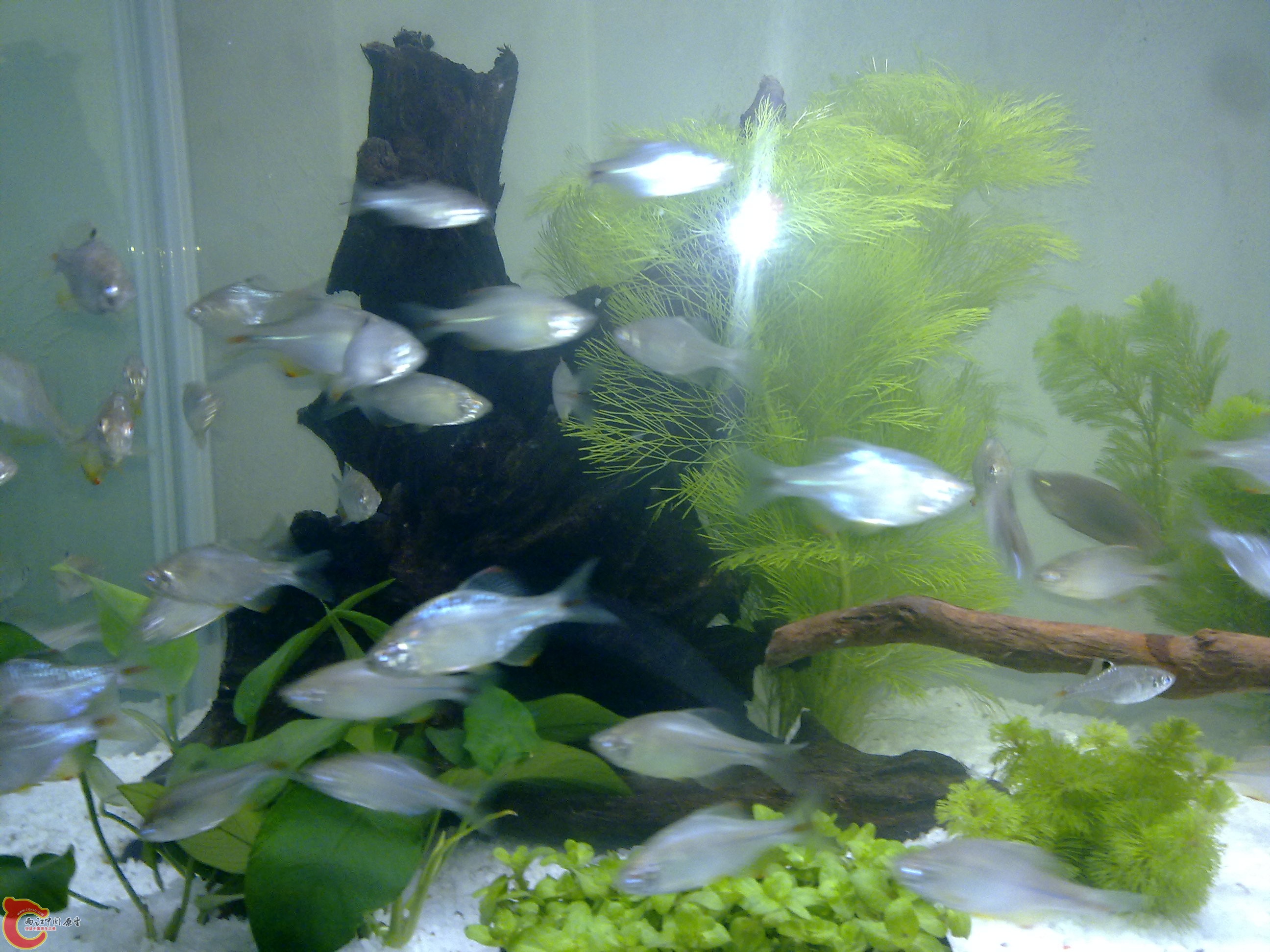 201111041023.jpg
