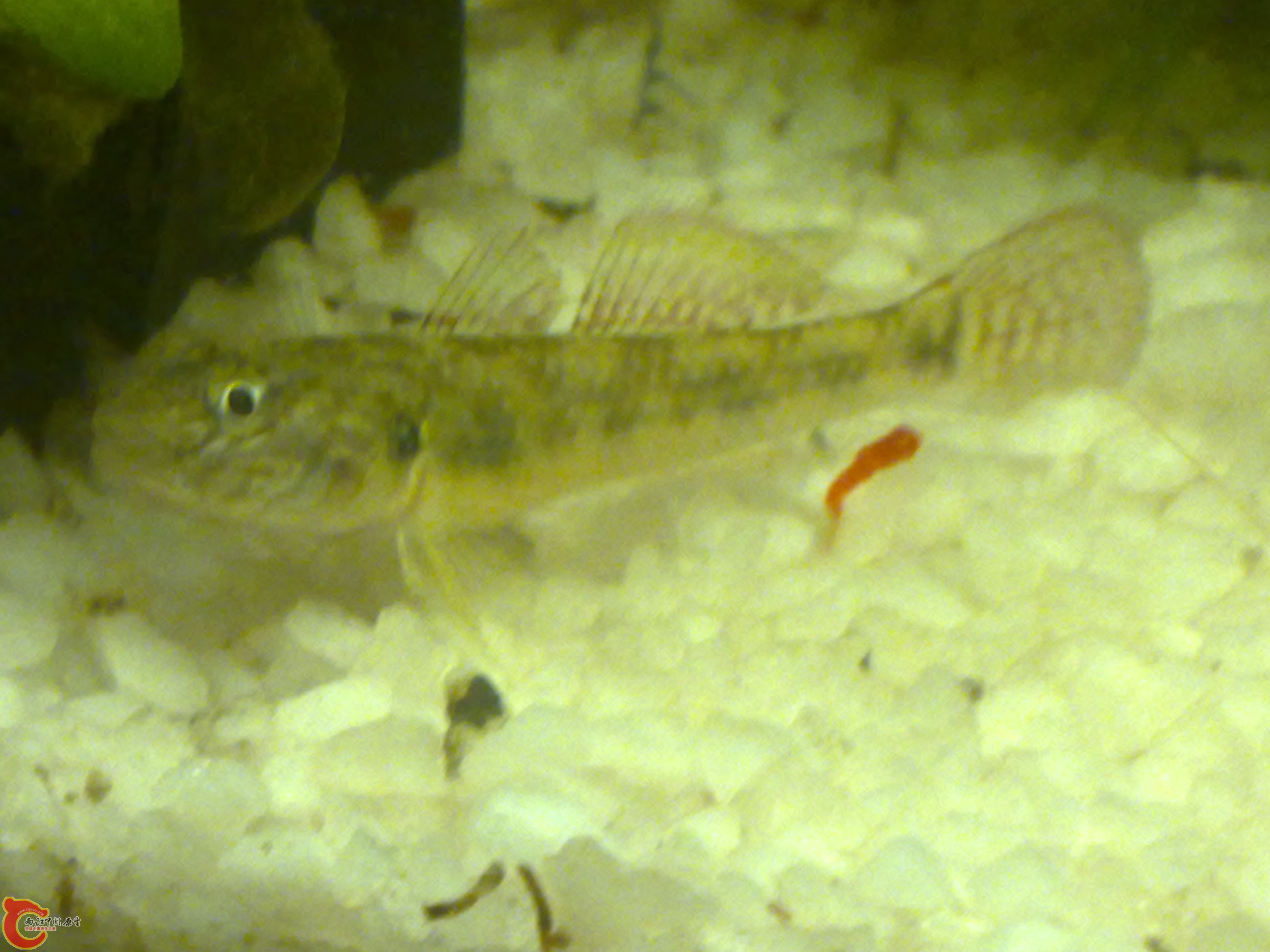 201111191053.jpg