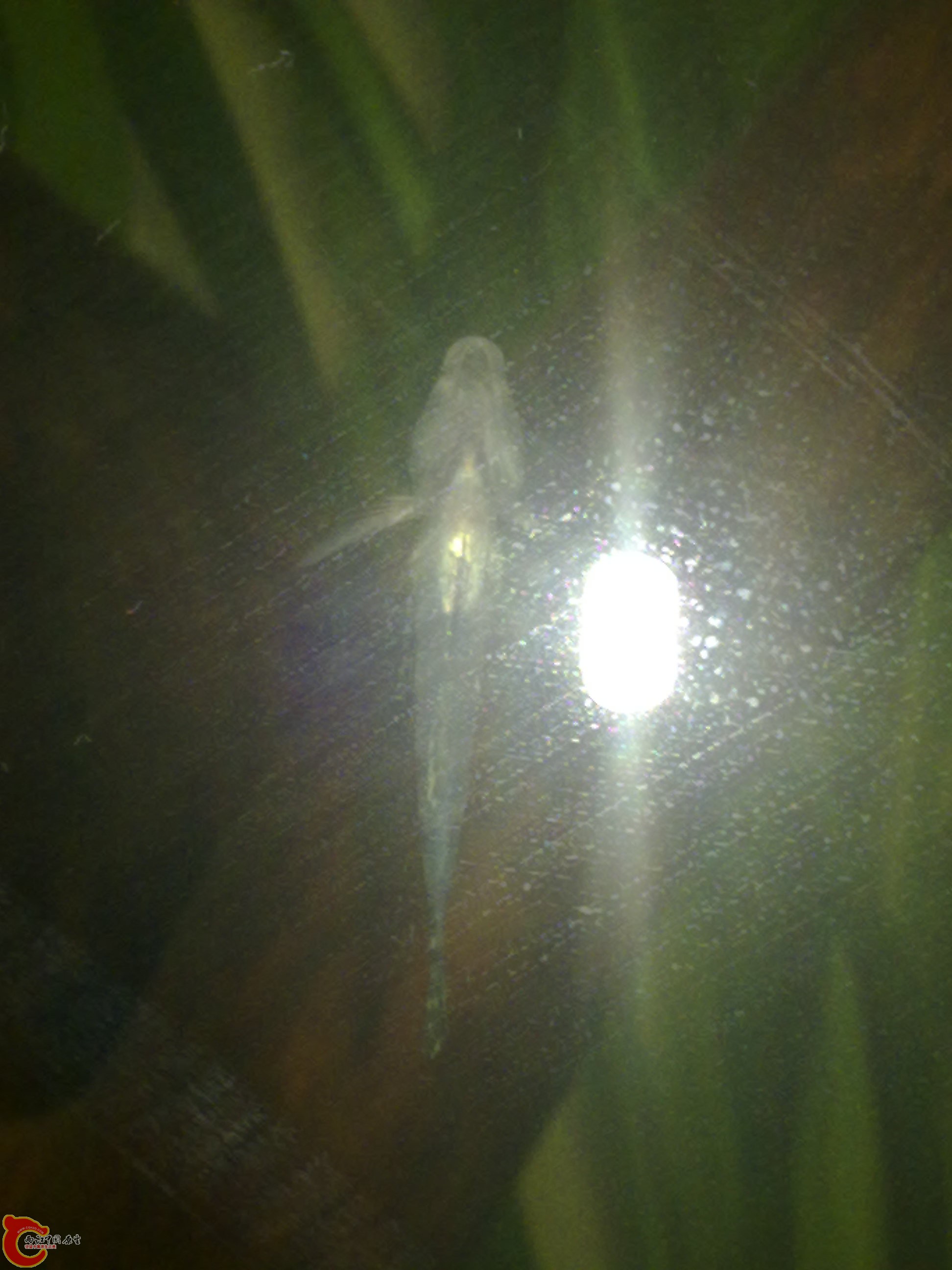201111191058.jpg