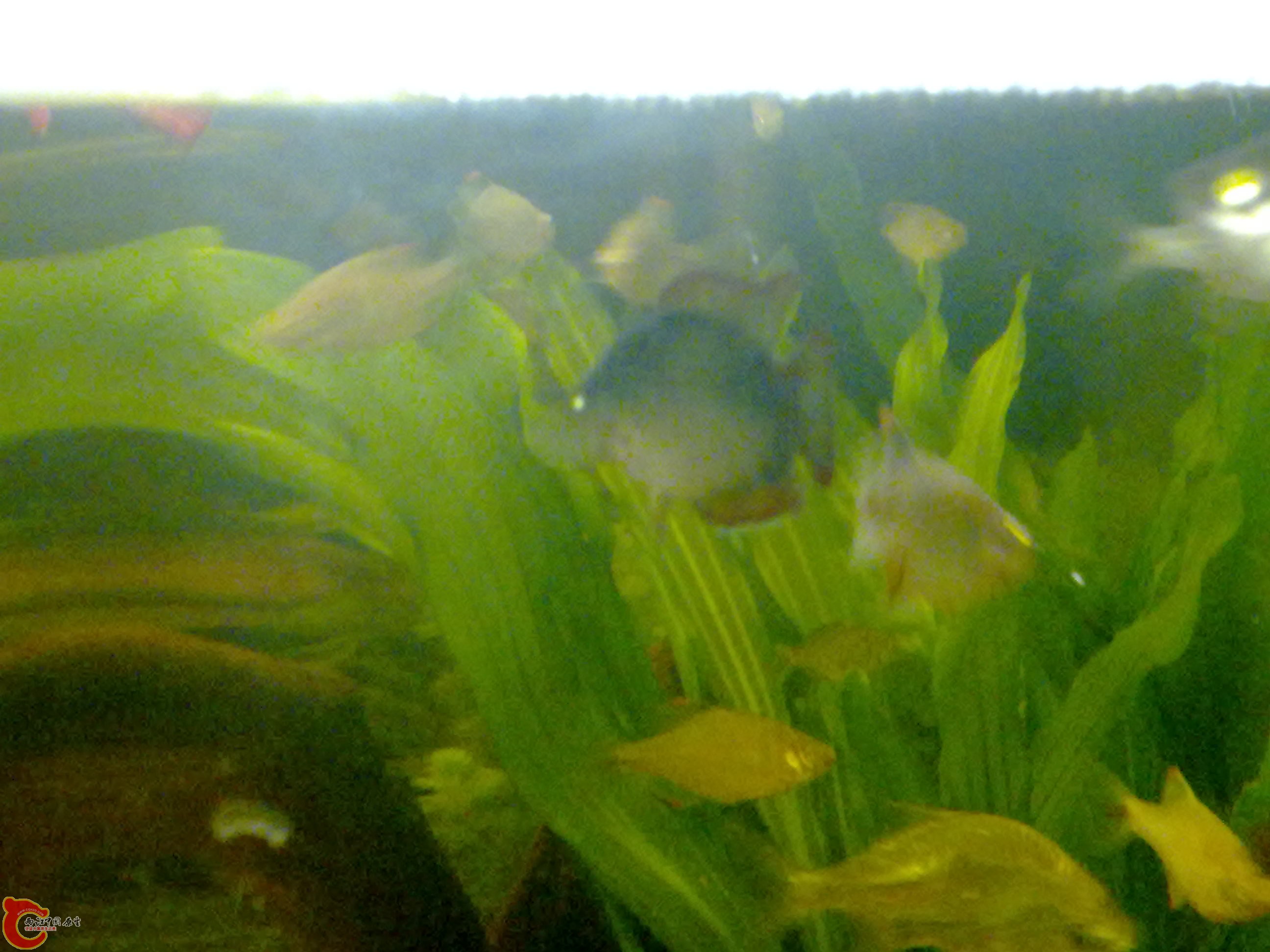 201111191079.jpg