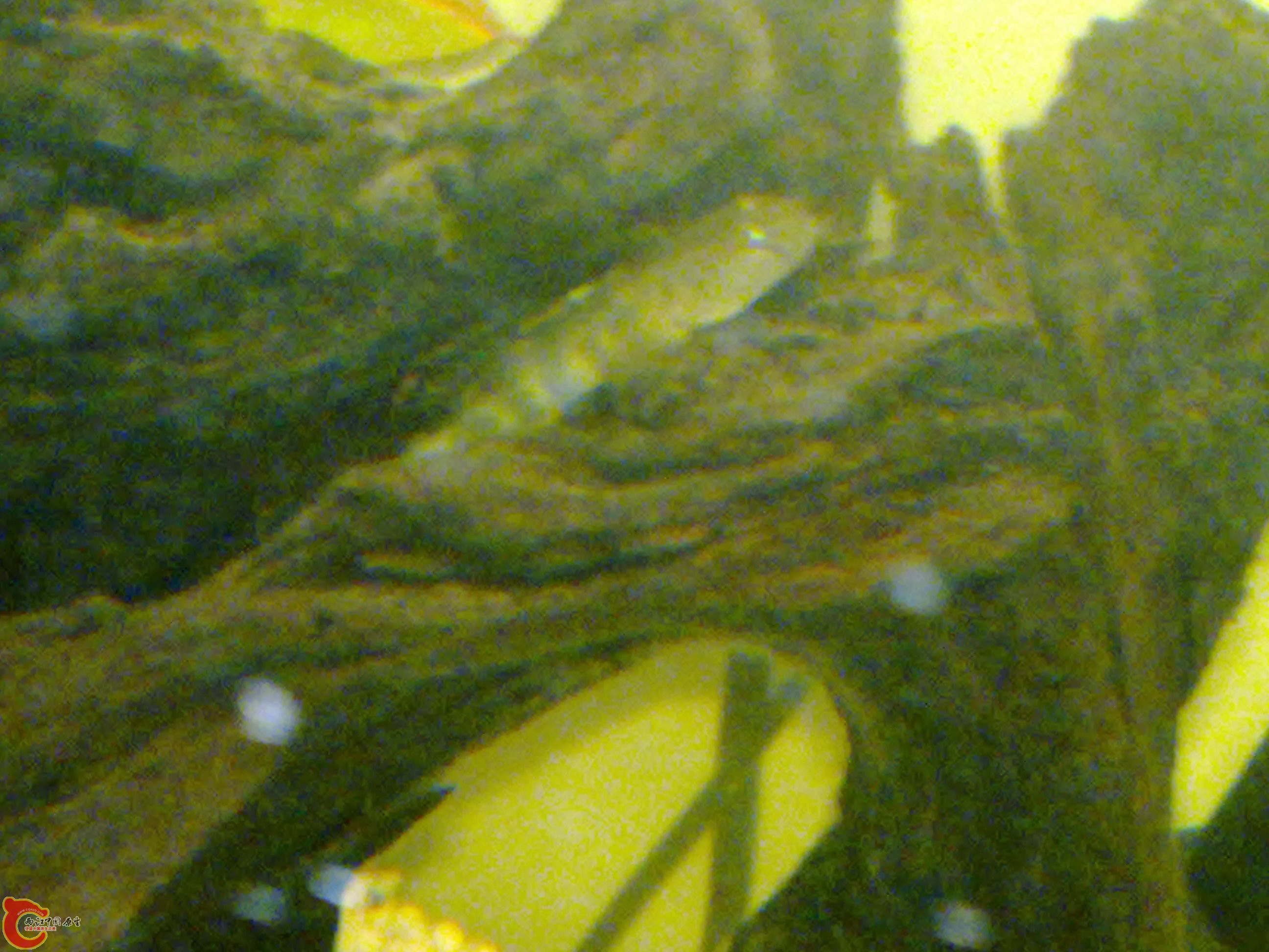 201111191085.jpg