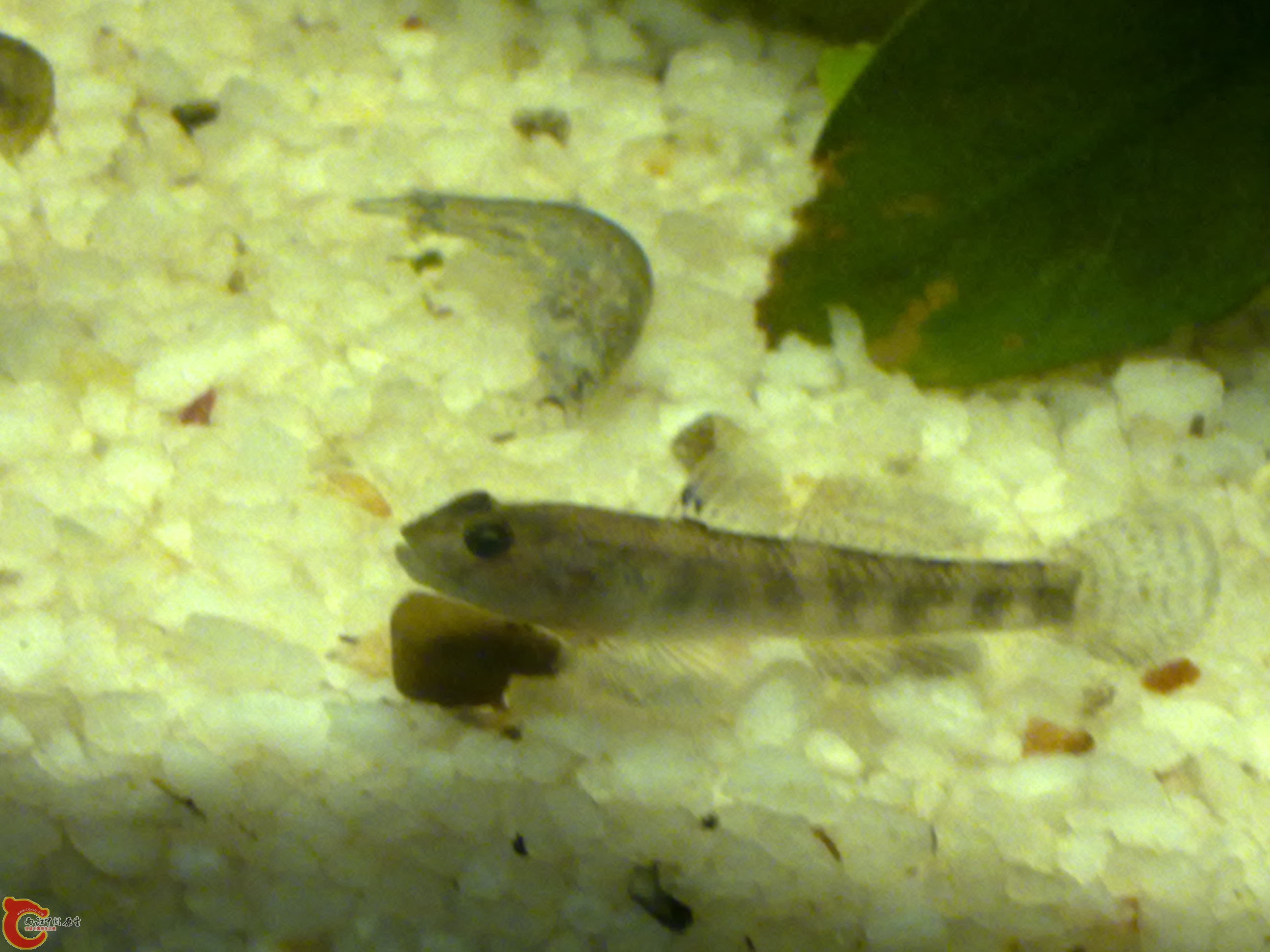 201111191120.jpg