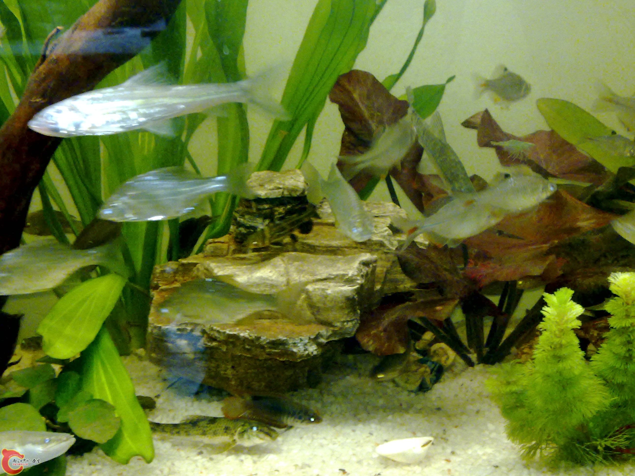 201111191130.jpg