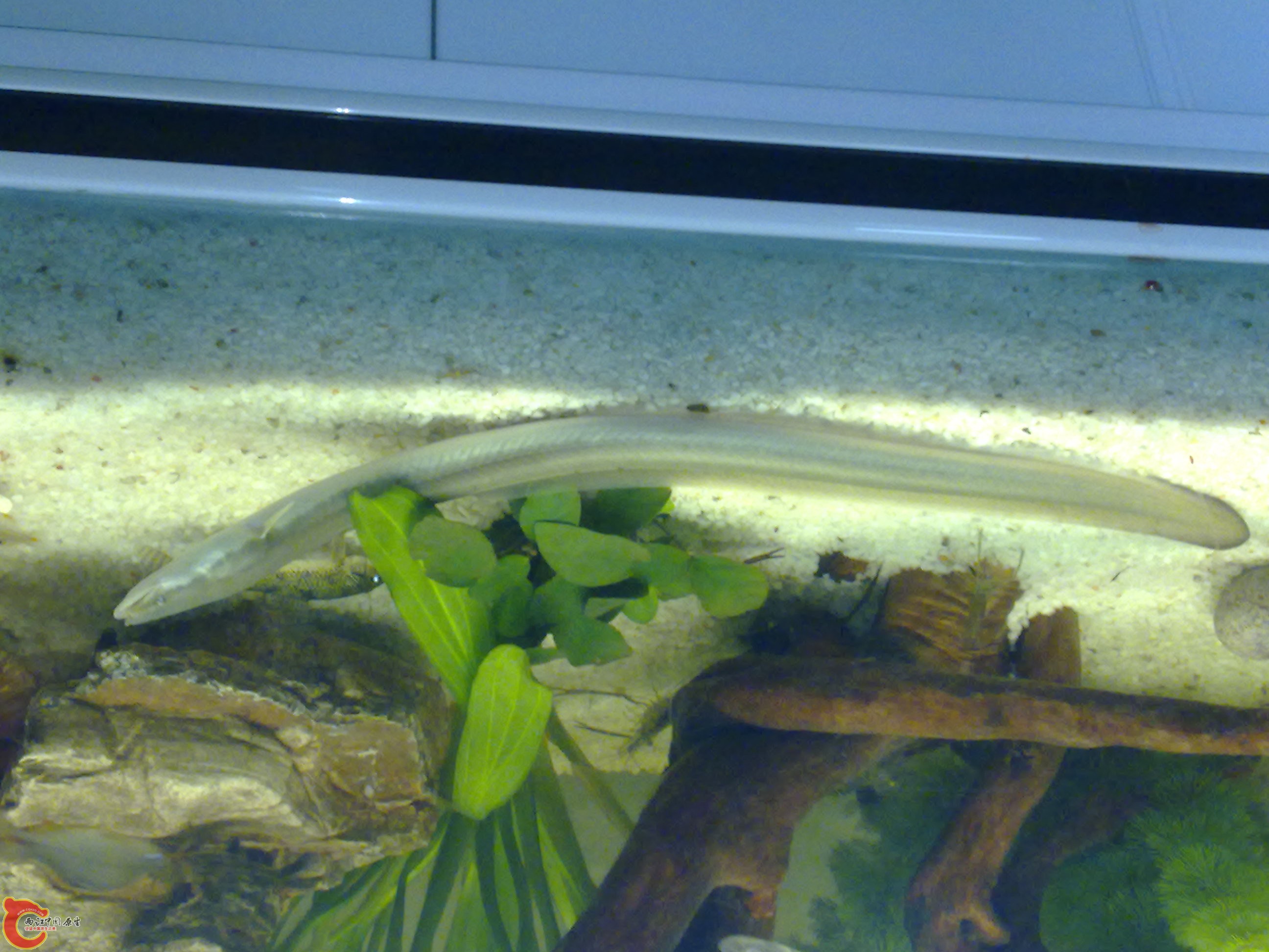 201111191135.jpg