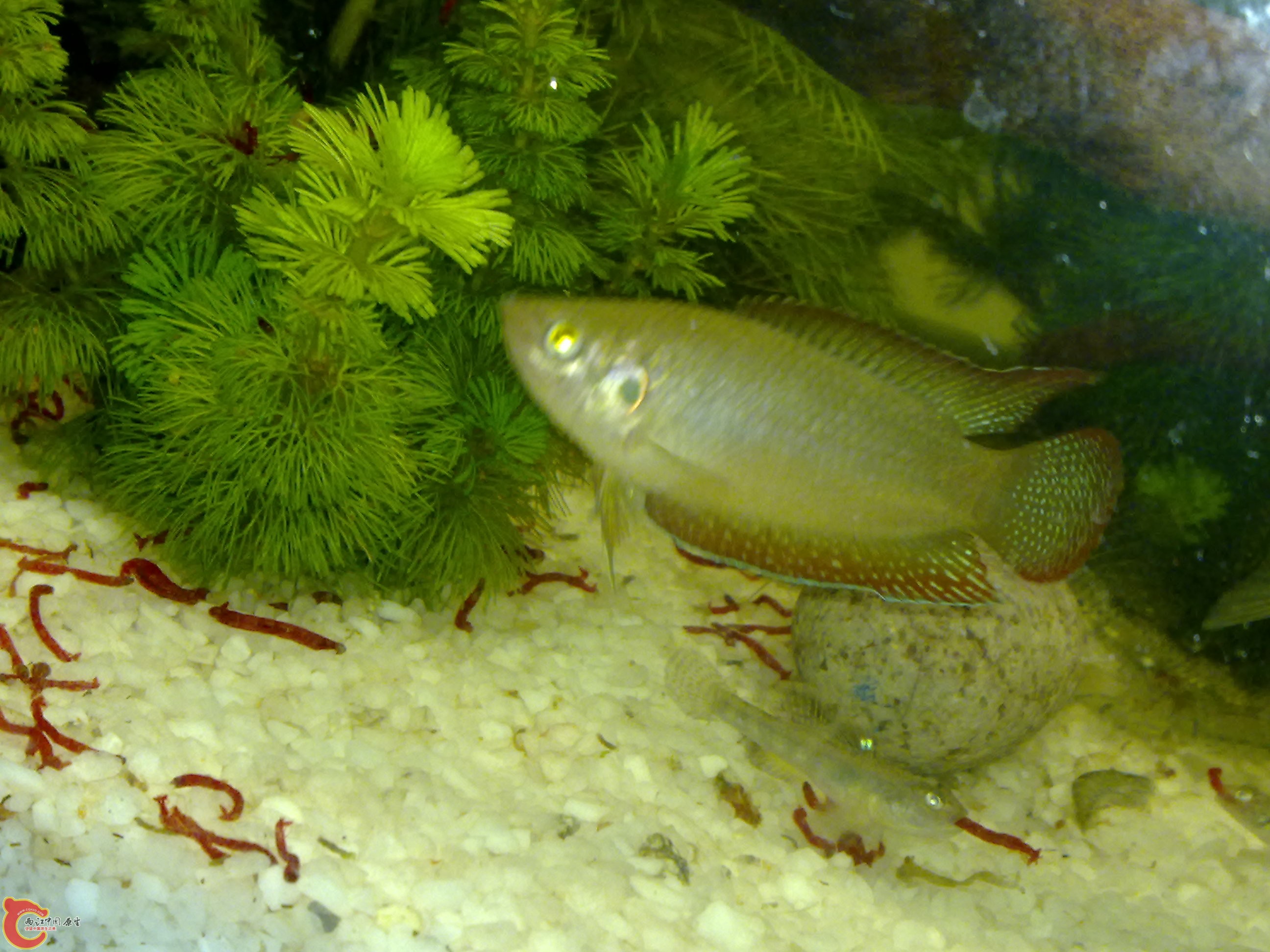 201111191138.jpg