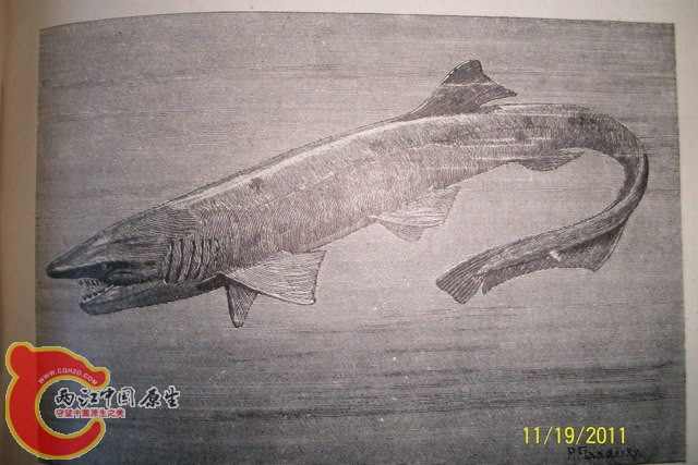 100_6125.JPG