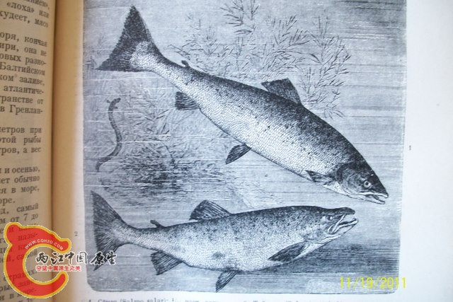 100_6136.JPG