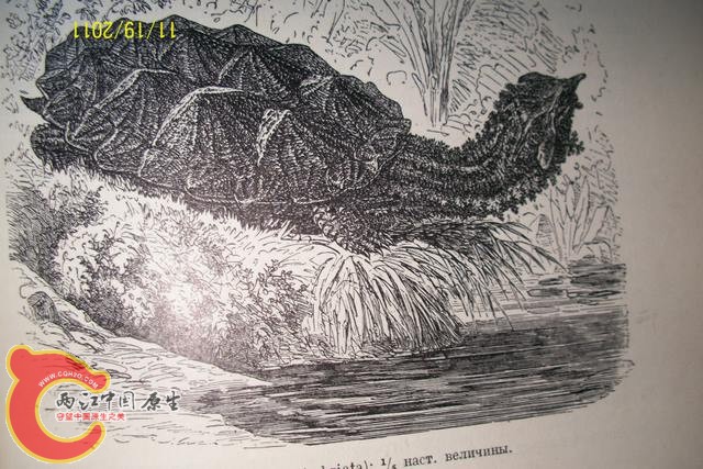 100_6146.JPG