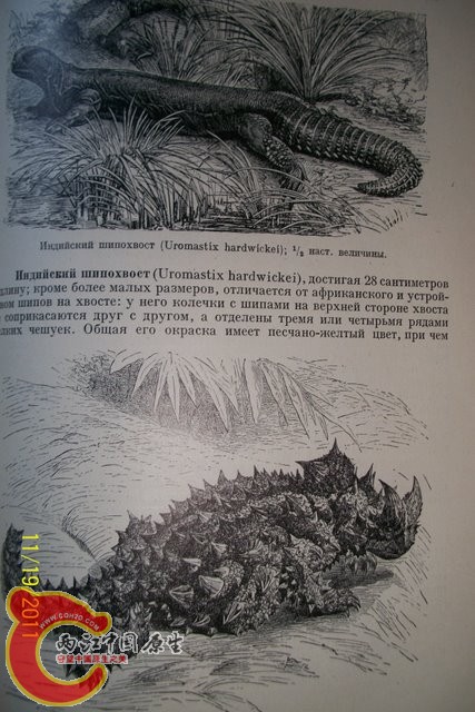 100_6148.JPG