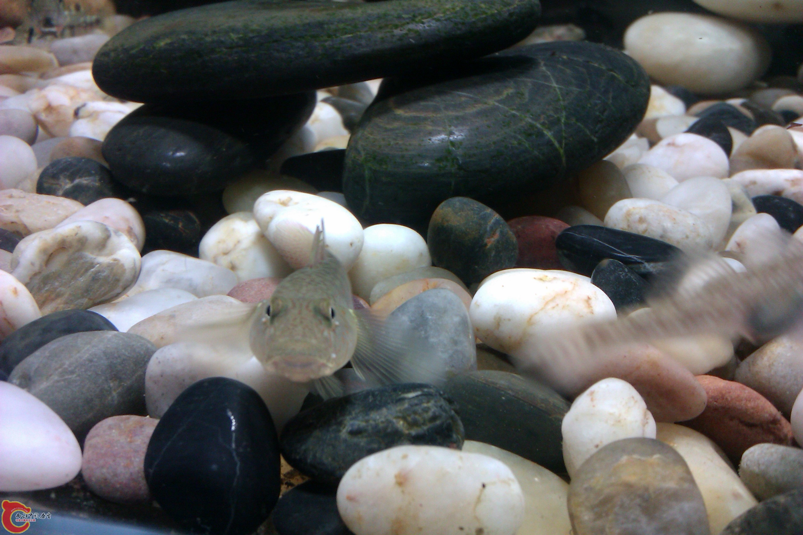 IMAG0388.jpg