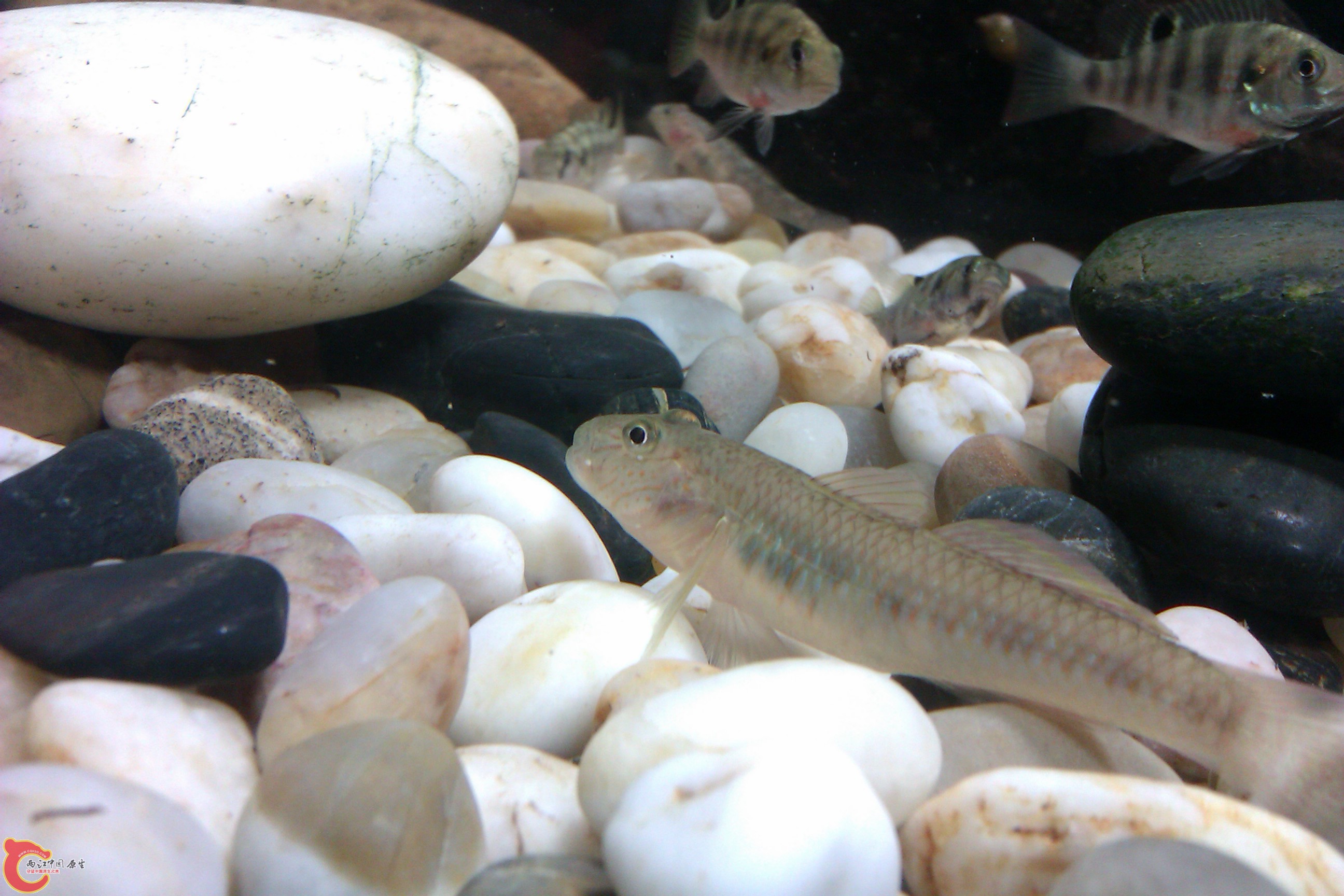 IMAG0390.jpg