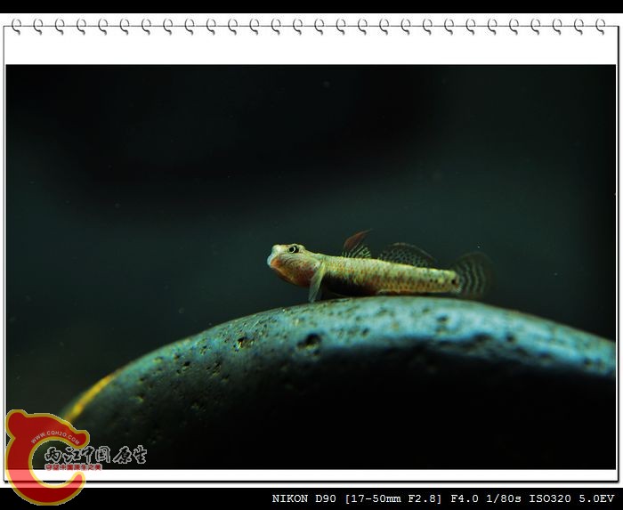 DSC_0024.JPG
