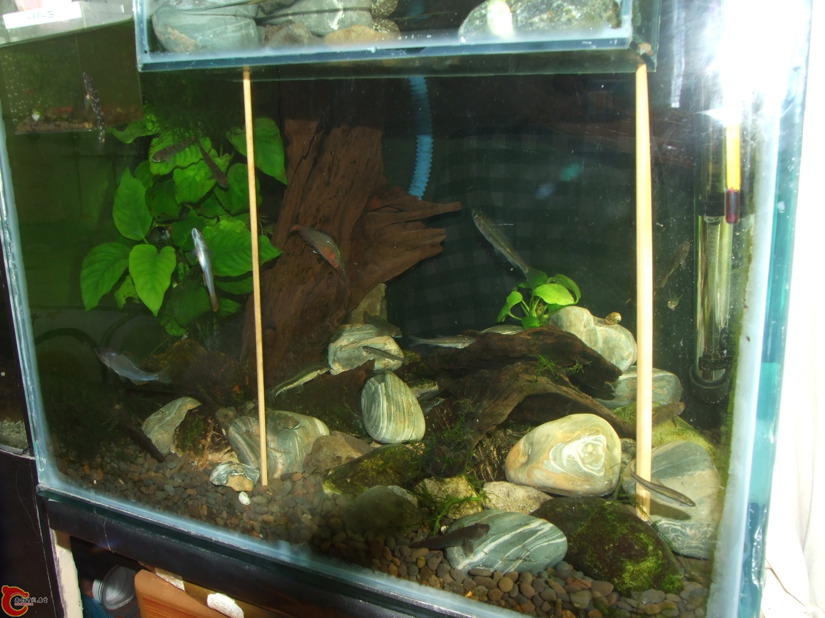 照片 045.jpg