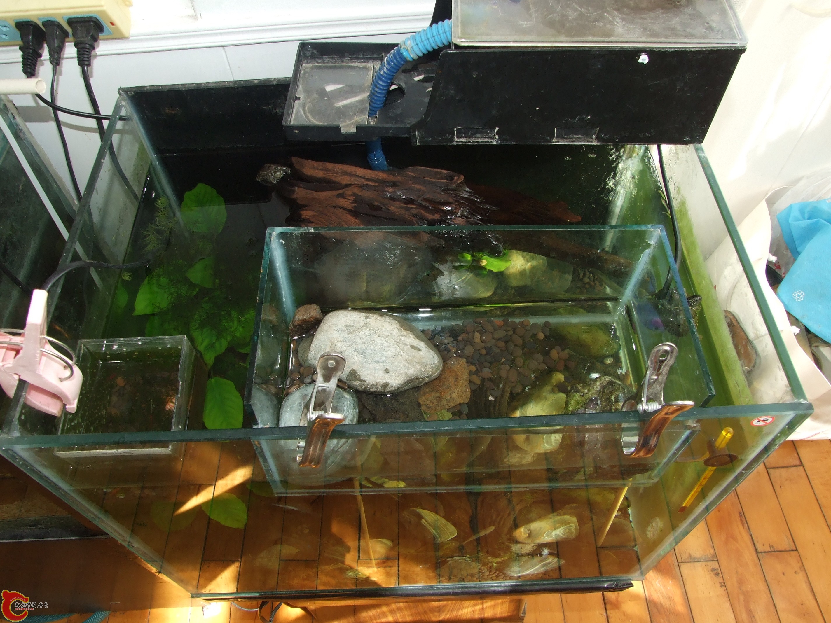 照片 130.jpg