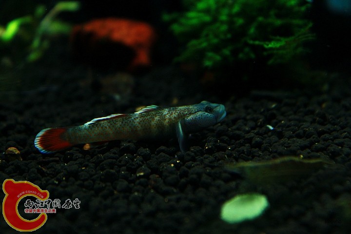 nEO_IMG_IMG_2972.jpg