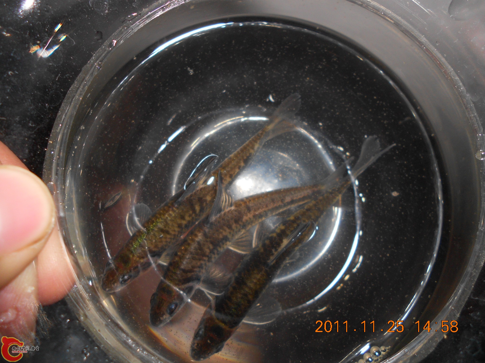 DSCN2232.JPG