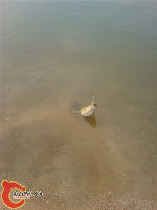 77.jpg