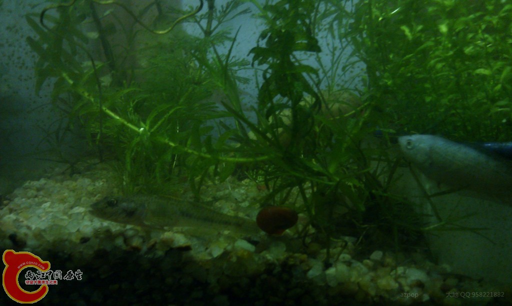 conew_img_20111128_221834.jpg