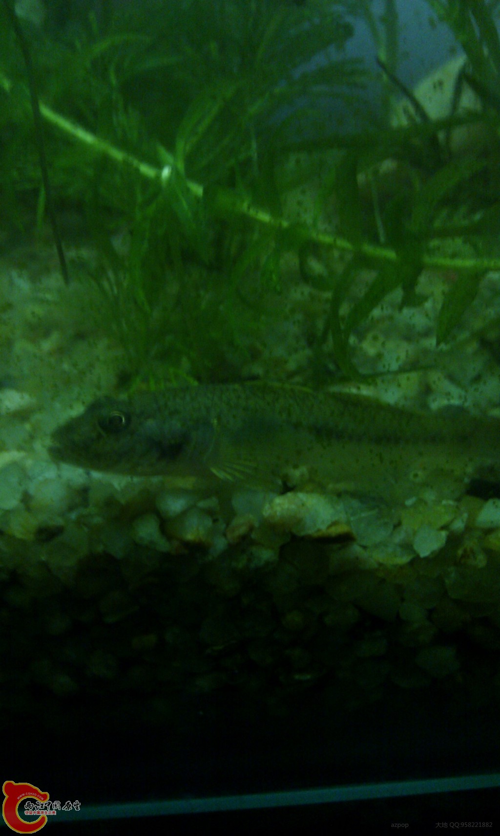 conew_img_20111128_221848.jpg