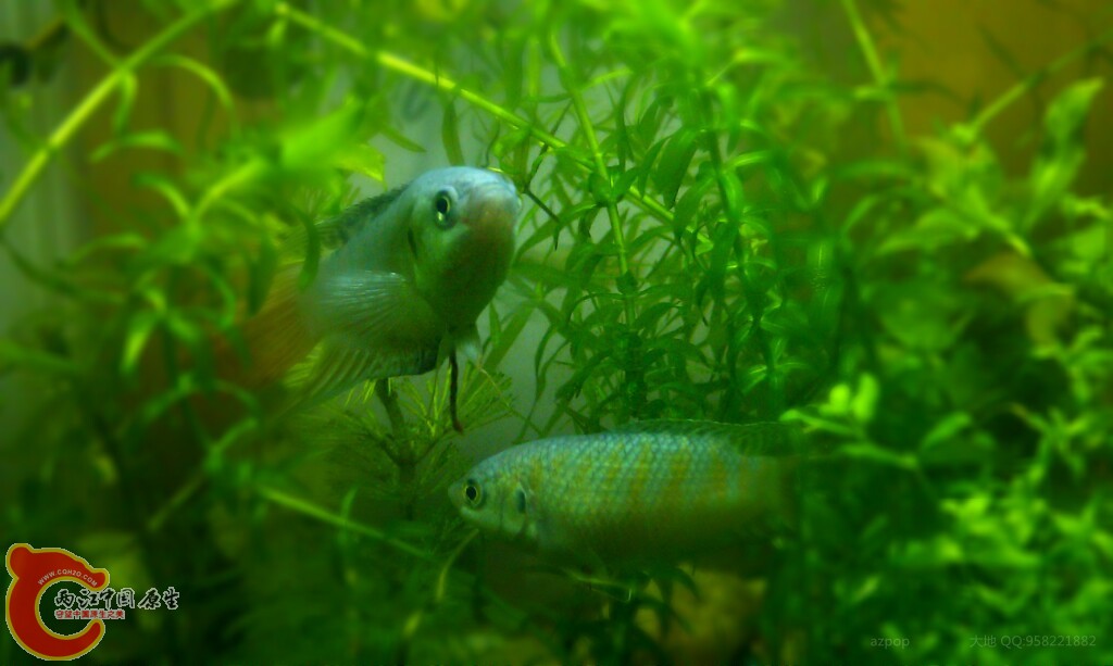conew_img_20111128_222051_edit0.jpg