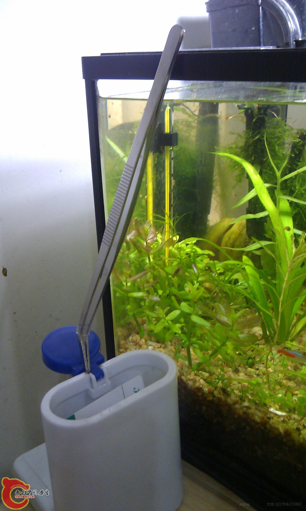 conew_img_20111129_143355.jpg