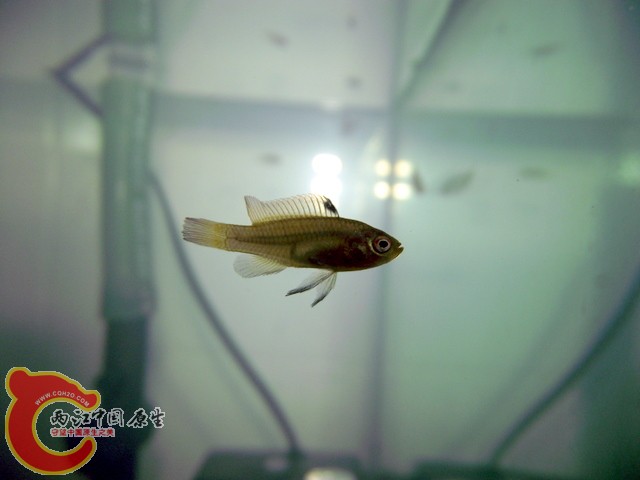 DSCF0192.jpg