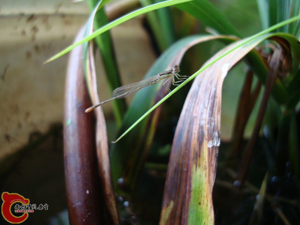 DSC06491.JPG