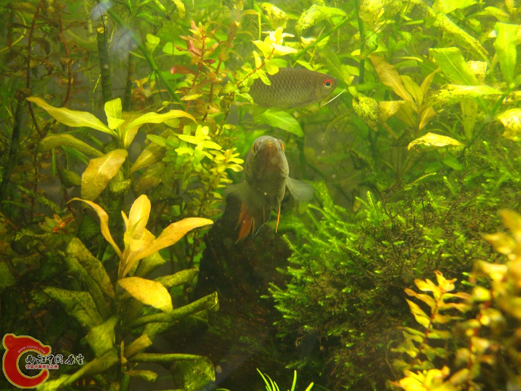 DSC06794.JPG